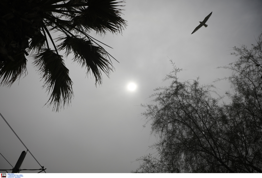 Καιρός: Πρωταπριλιά με 31 βαθμούς και δεν είναι ψέμα! - Επιστρέφει η αφρικανική σκόνη