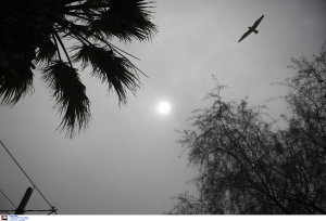 Καιρός: Πρωταπριλιά με 31 βαθμούς και δεν είναι ψέμα! - Επιστρέφει η αφρικανική σκόνη