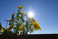 Πότε έρχεται η πρώτη γεύση χειμώνα στην Ελλάδα - Κλείδωσε η μέρα με κρύο