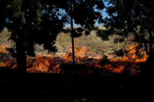 Φωτιά τώρα στον Προφήτη Ηλία Κορινθίας