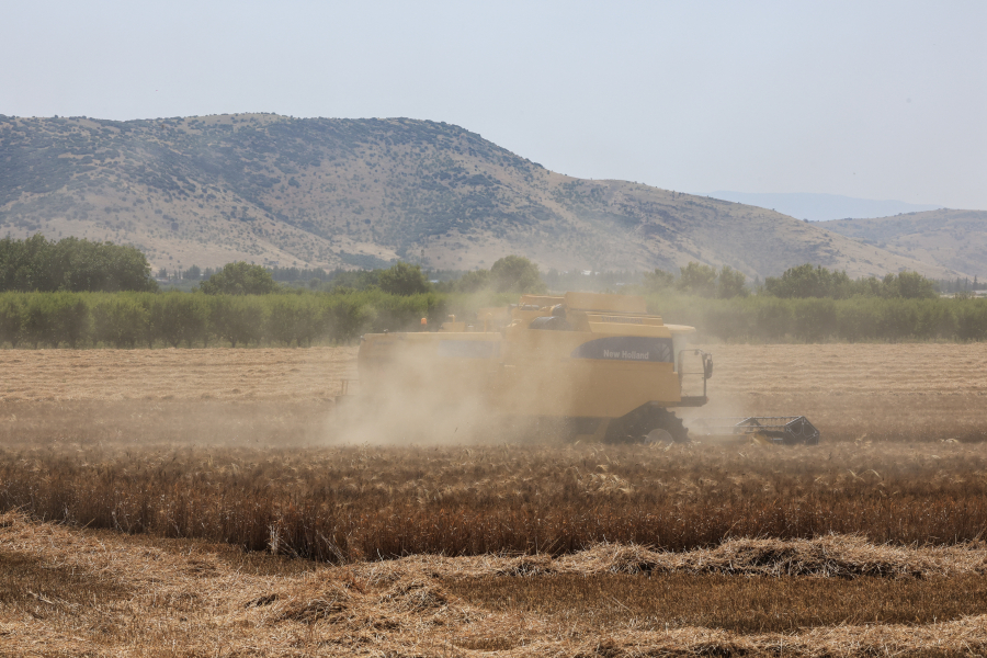Ξυλούρης («Φραπές») για σκάνδαλο ΟΠΕΚΕΠΕ: Όλα λειτουργούν σωστά, δεν έχω πάρει ούτε 1 ευρώ