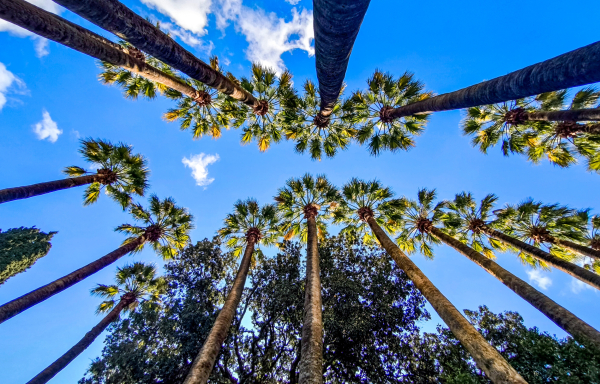 Κολυδάς: «Ο καιρός του Πάσχα δεν έχει ακόμη πει την τελευταία του λέξη» - Τι θα γίνει μετά τη Μεγάλη Πέμπτη