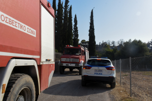 Μία σύλληψη για τη φωτιά στην Κερατέα