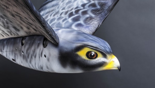 Ρομποτικό πτηνό διώχνει τα πουλιά μακριά από τα αεροπλάνα