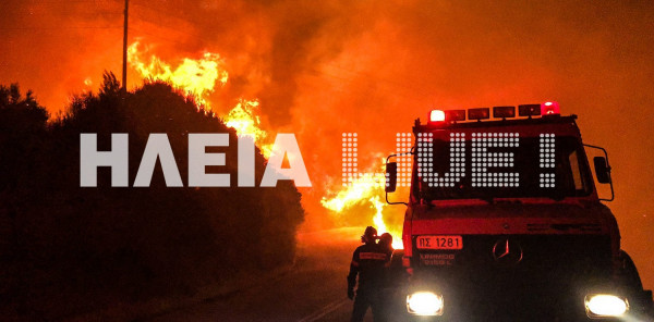 Φωτιά τώρα στην Ηλεία - Άμεση κινητοποίηση της Πυροσβεστικής