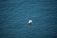 Το κουίζ του Λαγουβάρδου για τον καύσωνα και τις θερμοκρασίες