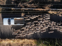 Ευλογιά: Η Κομισιόν «αδειάζει» την Αθήνα - Η απάντηση της ΕΕ σε Αρναούτογλου