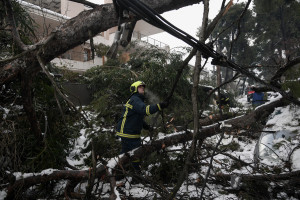 Η «Μήδεια» άφησε πίσω της 255 τόνους κλαδεμάτων μόνο στον Δήμο Χαλανδρίου!