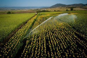 photo: Eurokinissi