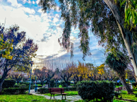 Γιώργος Τσατραφύλλιας: Ο Μάρτης δεν φαίνεται να είναι γδάρτης...