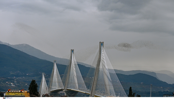 Κλειστό το πορθμείο Ρίου - Αντιρρίου, κανονικά τα δρομολόγια σε Ζάκυνθο και Κεφαλονιά