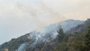 Φωτογραφία: ilefkada.gr