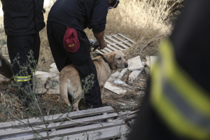 Κρήτη: Εξαφανίστηκε η Ισραηλινή συγγραφέας, Μικέλ Πέλεκ