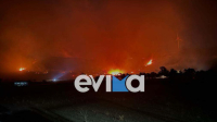 Εύβοια: Σε εξέλιξη η φωτιά στους Καλλιανούς Καρύστου - Ήχησε 112