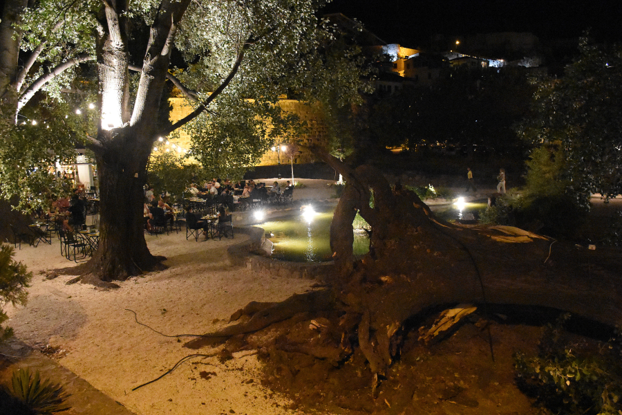 Πηγή: φωτογραφία αρχείου - eurokinissi