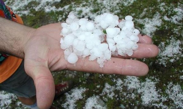 Δήμος Βέροιας : Υποβολή δηλώσεων ζημιάς από χαλάζι