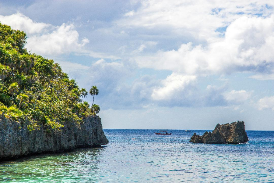 Θα ζούσατε σε μια πόλη όπου ο θάνατος είναι… προαιρετικός;