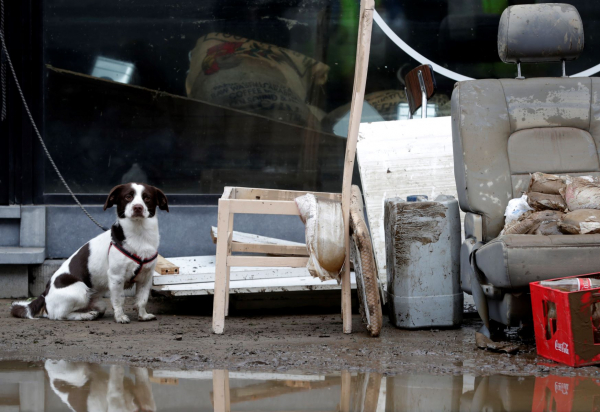 Γερμανία: Συγκλονιστικές μαρτυρίες Ελλήνων που βίωσαν τον εφιάλτη στις φονικές πλημμύρες (βίντεο)