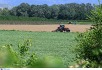 Θεσσαλονίκη: Ένοχος χωρίς ποινή 68χρονος για τον θάνατο του εγγονού του μετά από πτώση από τρακτέρ