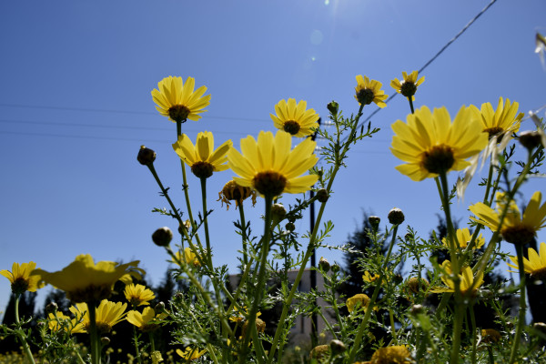 Καιρός σήμερα: Μεγάλη Παρασκευή με άνοδο της θερμοκρασίας, έως και 23 βαθμούς