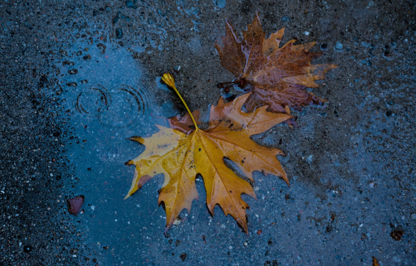Καιρός σήμερα: Φεύγει η κακοκαιρία Αλέξανδρος, πότε βελτιώνεται το σκηνικό - Οι 5 περιοχές με βροχή