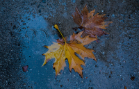 Καιρός σήμερα: Φεύγει η κακοκαιρία Αλέξανδρος, πότε βελτιώνεται το σκηνικό - Οι 5 περιοχές με βροχή