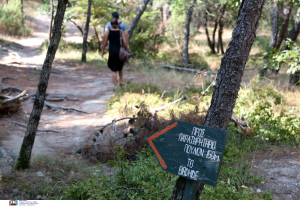 School pass για εκδρομές εκπαιδευτικού χαρακτήρα σκέφτονται στα υπουργεία Τουρισμού και Παιδείας
