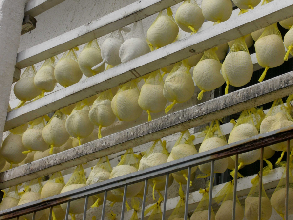 Μυτιλήνη: Οι τυροκομικές επιχειρήσεις ανακοίνωσαν τη διακοπή λειτουργίας τους στις 8/4