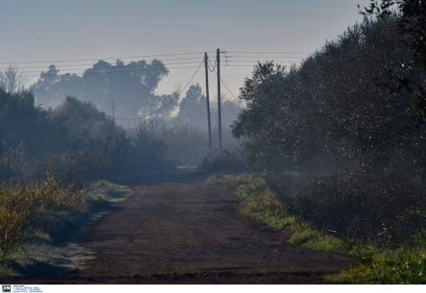 32χρονος βρέθηκε νεκρός σε χωράφι στα Τρίκαλα