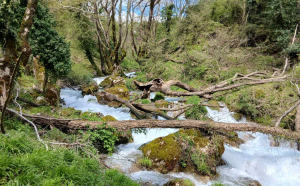 Περίπατος στο μονοπάτι του Ασκληπιού στα Τρίκαλα – Ταξίδι στην αρχαιότητα και τη μυθολογία