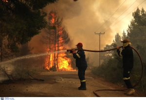 Ραφήνα: Στη φυλακή 38χρονος που συνελήφθη τρεις φορές για εμπρησμό τον Ιούνιο