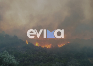 Φωτιά τώρα στην Εύβοια: Εκκενώθηκε ξενοδοχείο, μήνυμα 112 στους κατοίκους