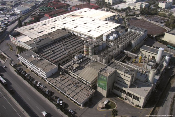 Οι καλοί εργοδότες «επιστρέφουν» τους νέους πίσω στη χώρα