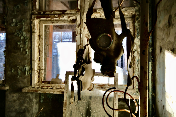 Μια απίθανη ζωή επιβιώνει στα ερείπια του Τσέρνομπιλ