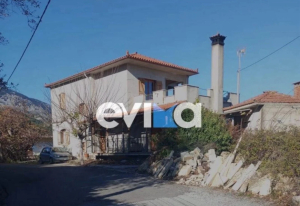 Aνατροπή στην πατροκτονία στην Εύβοια: Τα «γυρίζουν» τα δύο αδέλφια, τι ζητούν τώρα