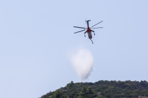 Φωτιά τώρα στην Σπάρτη