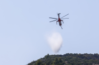 Φωτιά τώρα στην Σπάρτη