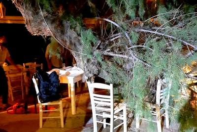 Είχε «Άγιο» η αντιδήμαρχος Μυτιλήνης, δέντρο έπεσε πάνω της τραυματίζοντάς την (εικόνες)