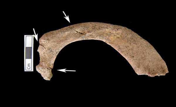 Υπουργείο Πολιτισμού: Πέντε οι νεκροί στην Αμφίπολη και όχι περισσότεροι