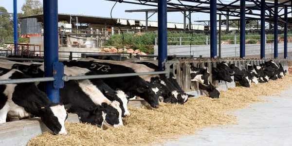 Έρχονται νέες ρυθμίσεις για τις αδειοδοτήσεις κτηνοτροφικών εγκαταστάσεων