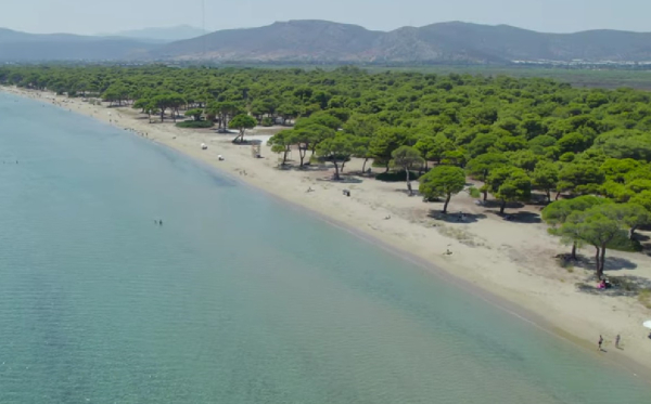 Η ιδανική παραλία για οικογένειες με παιδιά στην Αττική