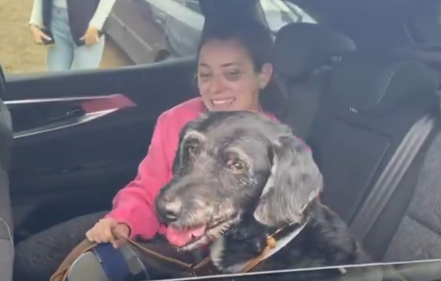 Ισπανία: Διασώθηκε σκύλος που αγνοούταν στην σιδηροδρομική τραγωδία