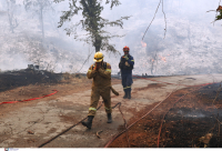 «Μας έστειλαν 1000 αστυνομικούς που δεν κάνουν τίποτα» λέει ο αντιπρόεδρος της κοινότητας Αφιδνών (βίντεο)