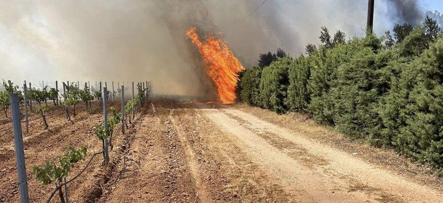 Υπό έλεγχο η φωτιά στην Ανάβυσσο - Δείτε βίντεο και εικόνες από την τεράστια επιχείρηση της Πυροσβεστικής