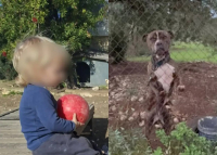 Ζάκυνθος: Αύριο η κηδεία του 2χρονου που κατασπάραξε το πιτ μπουλ