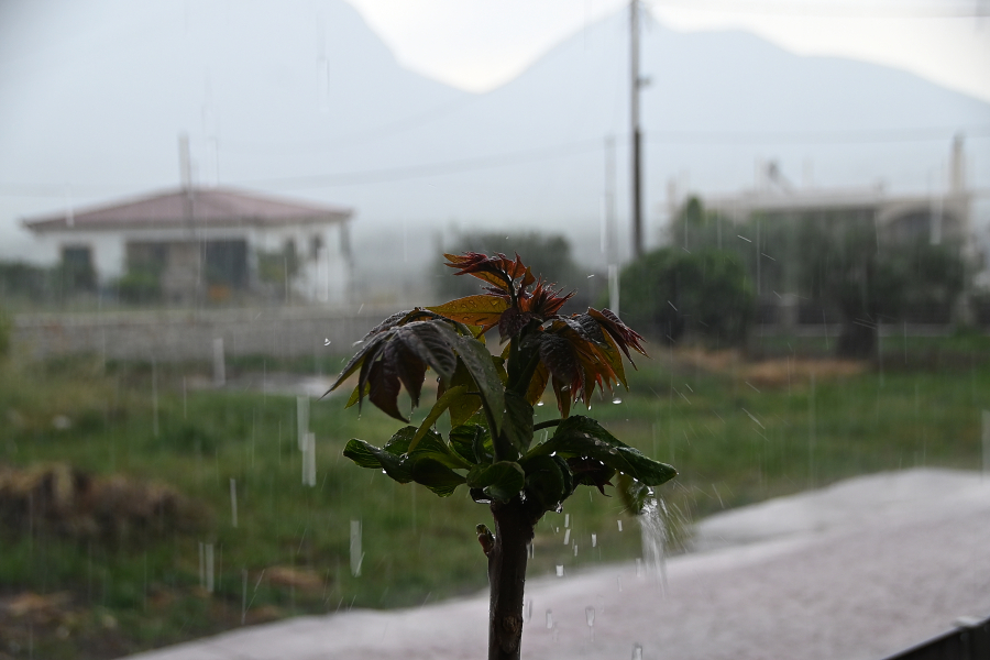 Καιρός Πρωτομαγιάς: Με βροχές, καταιγίδες και 8 μποφόρ θα πλέξουμε στεφάνια, οι περιοχές