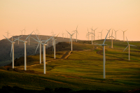 Should Old Wind Farms Be Torn Down or Upgraded? The Growing Energy Debate