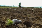 Πρόγραμμα «Πιστοποίηση αγροτικών προϊόντων-υπηρεσιών και επιχειρηματικά οφέλη»