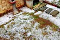 Από τη Φλώρινα ξεκίνησε η επιδείνωση του καιρού: Έπεσε χαλάζι σε μέγεθος καρυδιού (βίντεο, εικόνες)