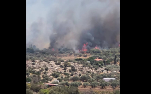 Φωτιά τώρα στο Λαύριο, ρίψεις από 5 εναέρια - Ήχησε «112»